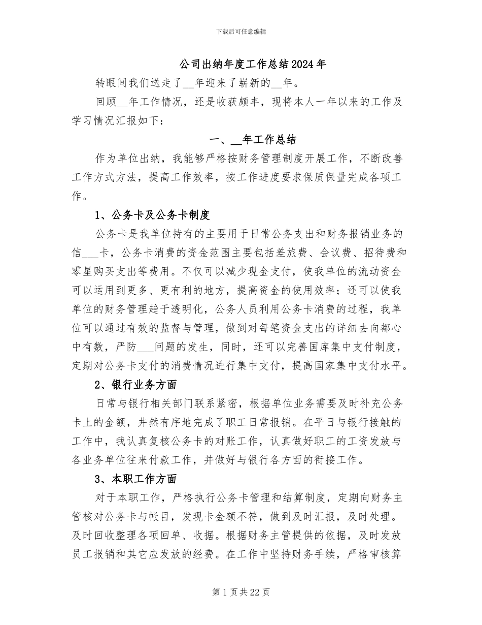 公司出纳年度工作总结2024年_第1页
