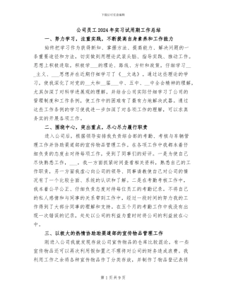 公司员工2024年实习试用期工作总结
