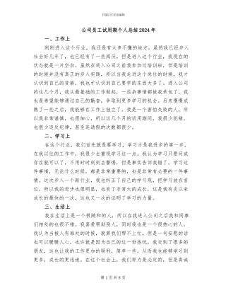 公司员工试用期个人总结2024年