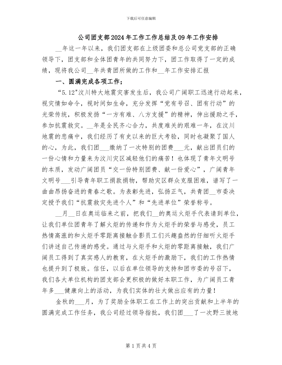 公司团支部2024年工作工作总结及09年工作安排_第1页