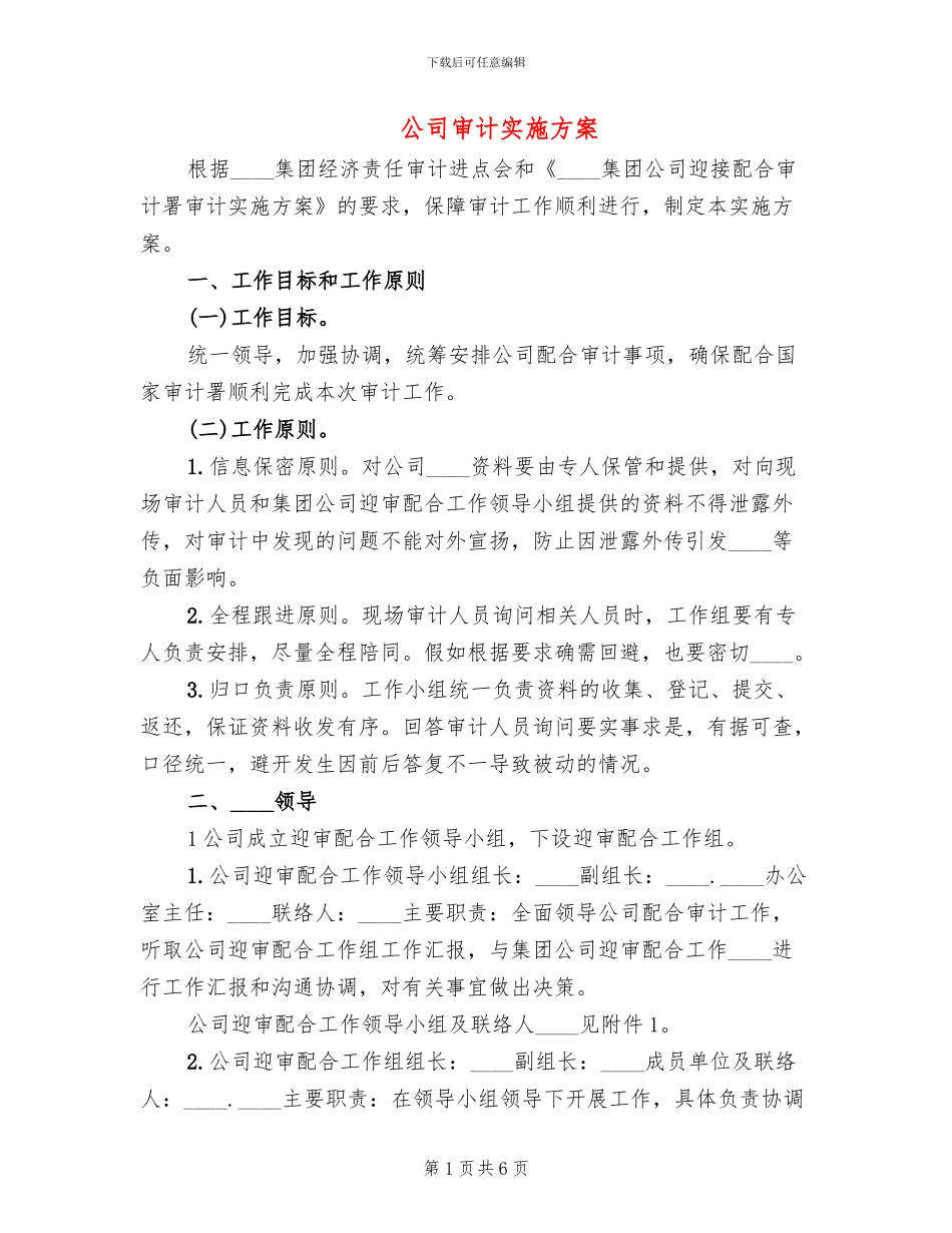 公司审计实施方案_第1页