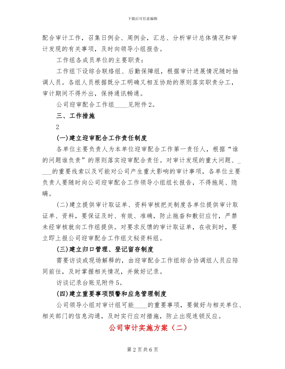 公司审计实施方案_第2页