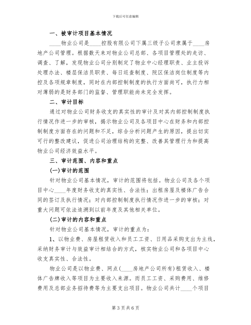 公司审计实施方案_第3页