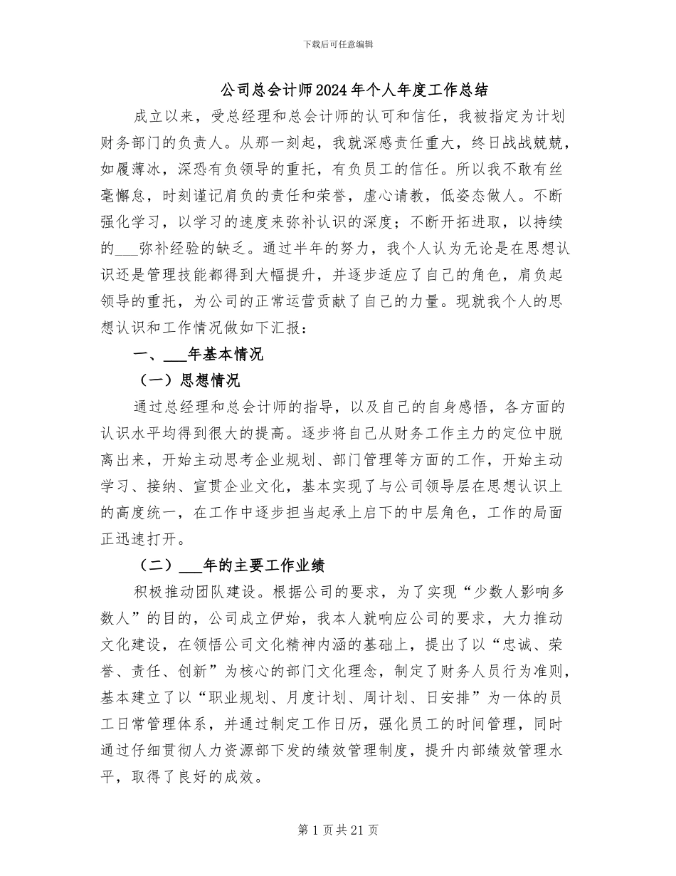 公司总会计师2024年个人年度工作总结_第1页