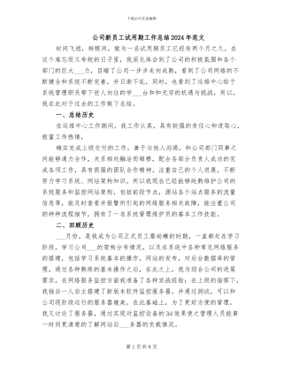 公司新员工试用期工作总结2024年范文