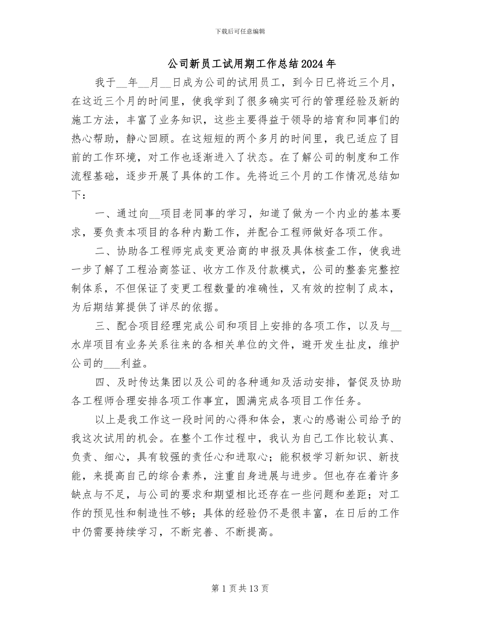 公司新员工试用期工作总结2024年_第1页