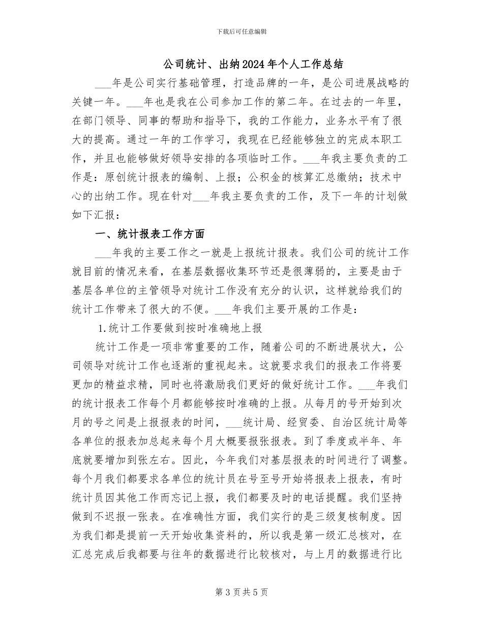 公司统计、出纳2024个人工作总结_第3页