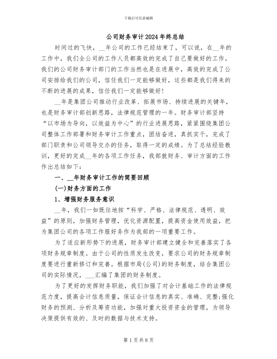 公司财务审计2024年终总结_第1页