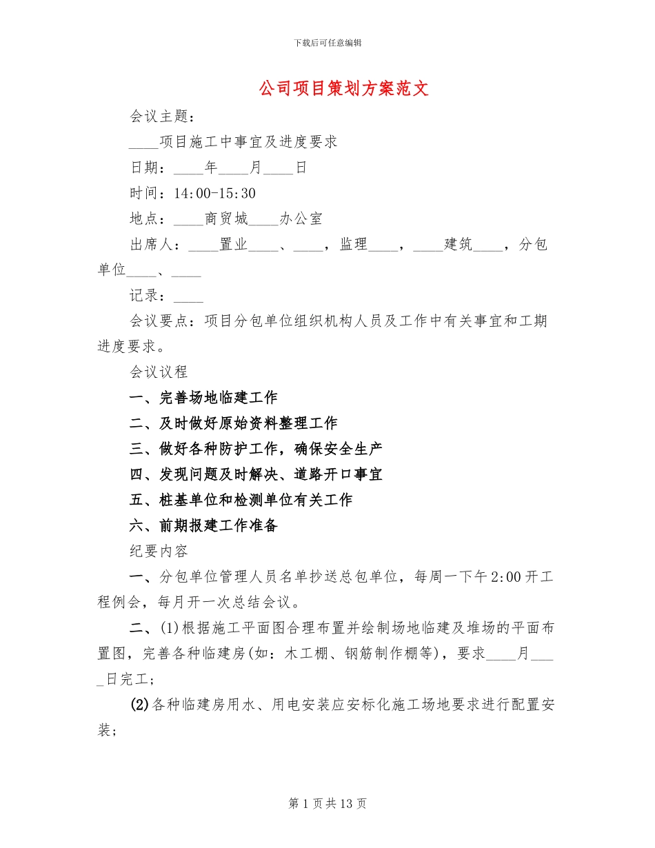 公司项目策划方案范文_第1页