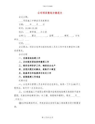 公司项目策划方案范文