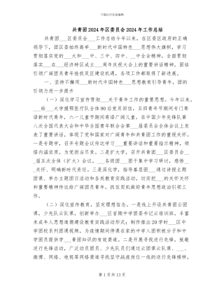 共青团2024年区委员会2024年工作总结