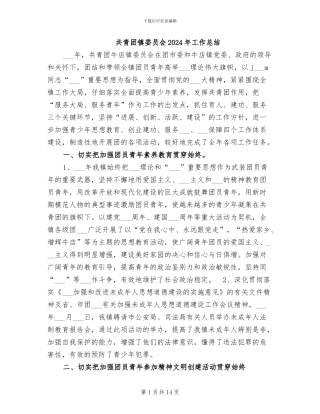 共青团镇委员会2024年工作总结