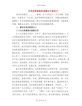 内贸流通健康发展整治方案范文