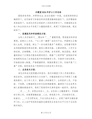 内镜室2024年护士工作总结