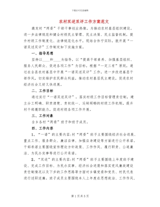 农村双述双评工作方案范文