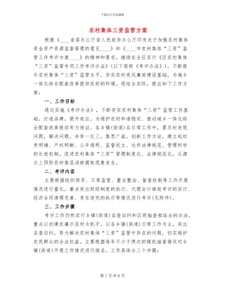 农村集体三资监管方案