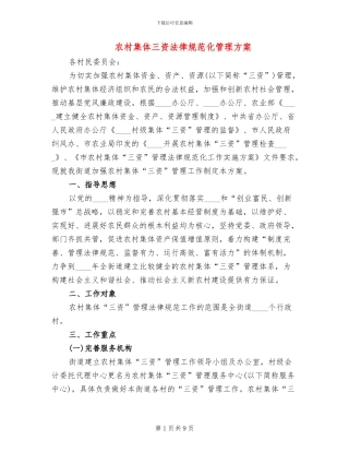 农村集体三资规范化管理方案