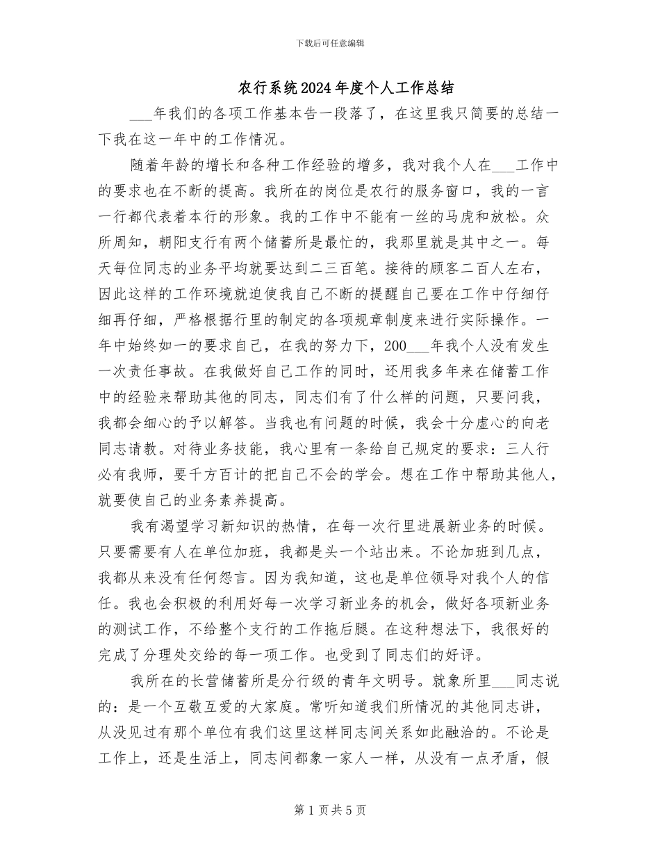 农行系统2024年度个人工作总结_第1页