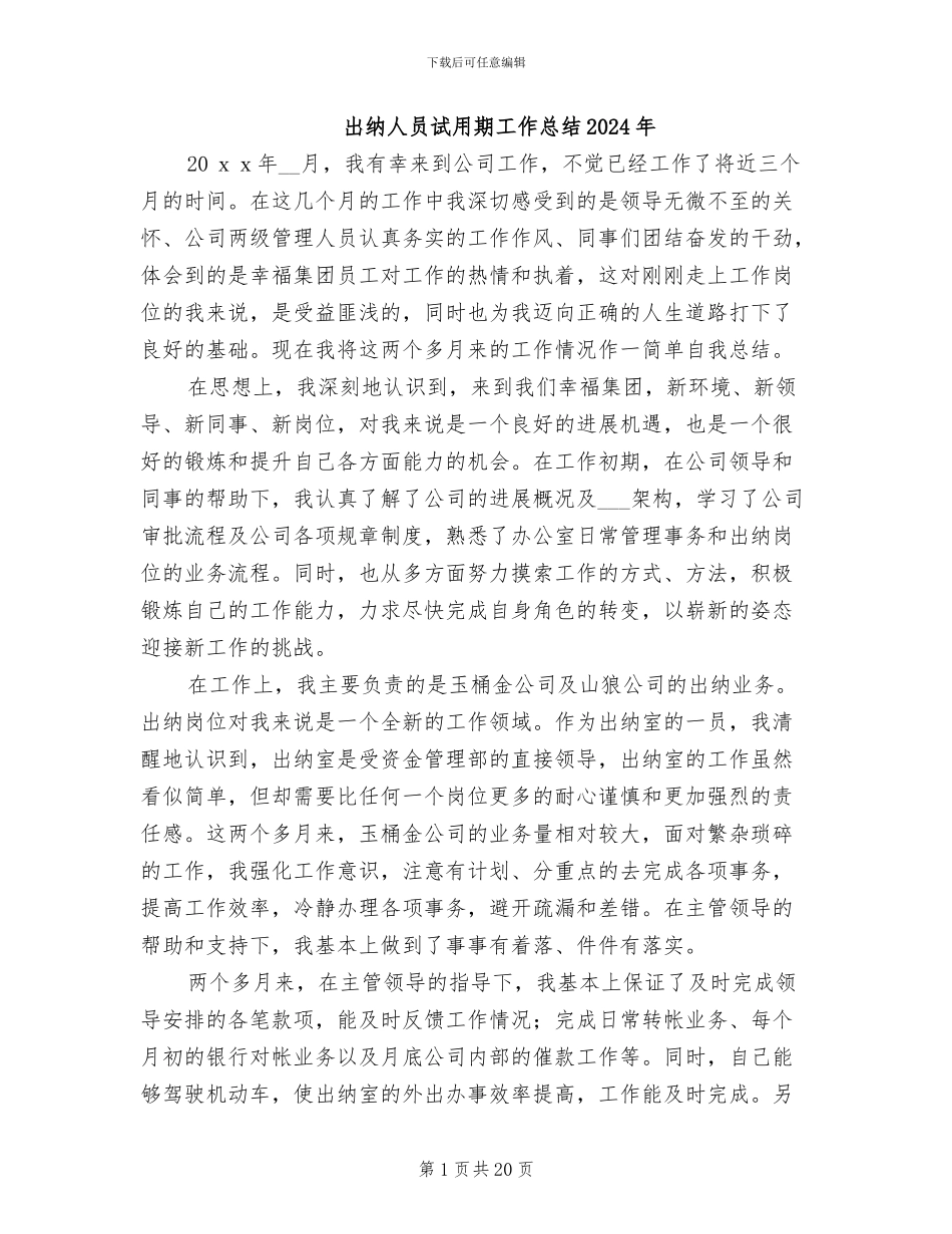 出纳人员试用期工作总结2024年_第1页