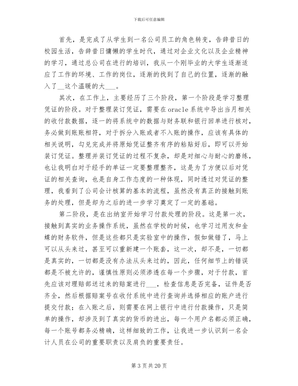 出纳人员试用期工作总结2024年_第3页