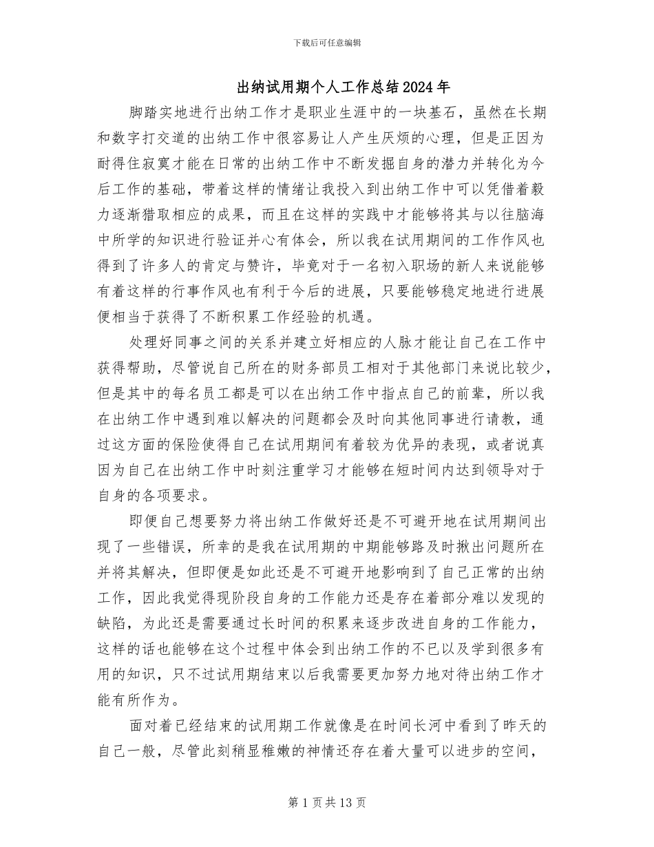 出纳试用期个人工作总结2024年_第1页