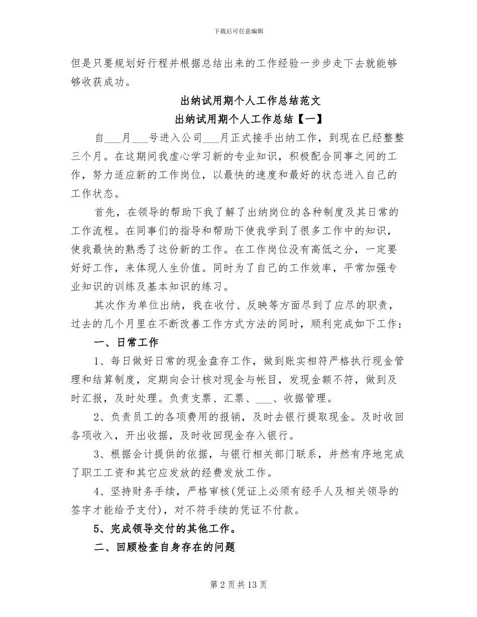 出纳试用期个人工作总结2024年_第2页