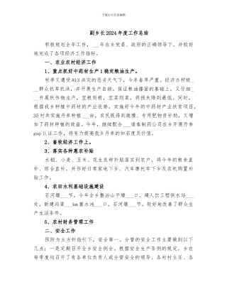 副乡长2024年度工作总结