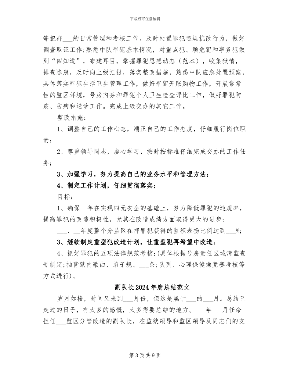 副队长2024年度总结_第3页