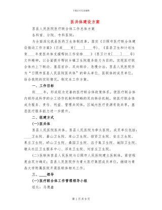 医共体建设方案