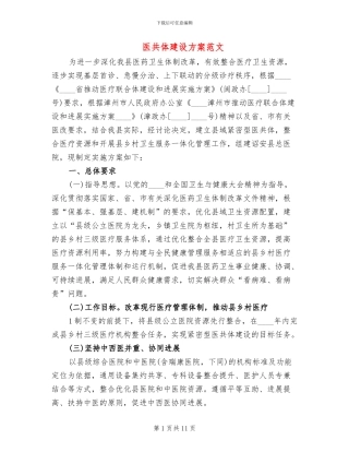 医共体建设方案范文
