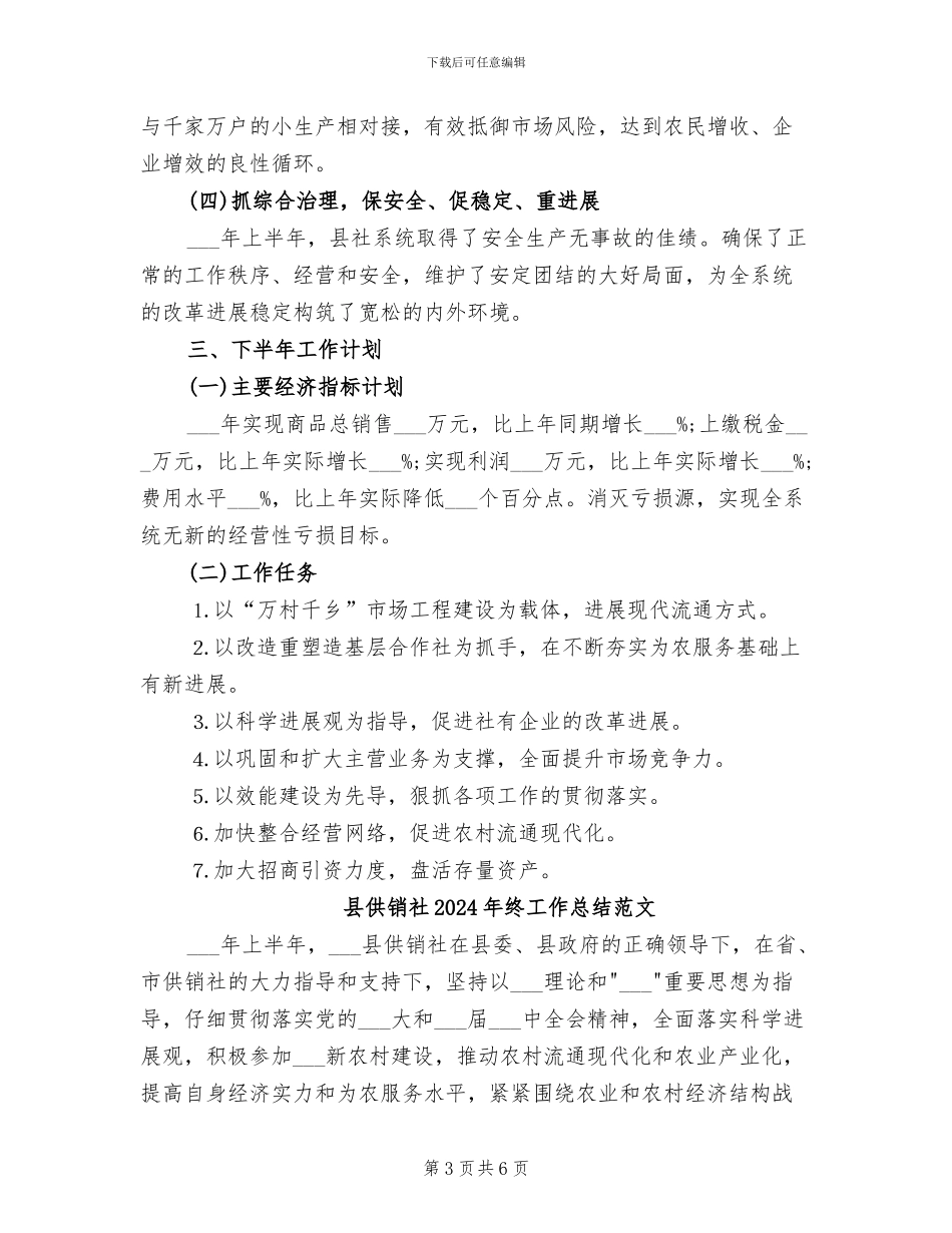 县供销社2024年终工作总结_第3页