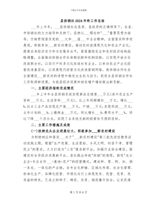 县供销社2024年终工作总结