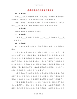 县推进政务公开实施方案范文