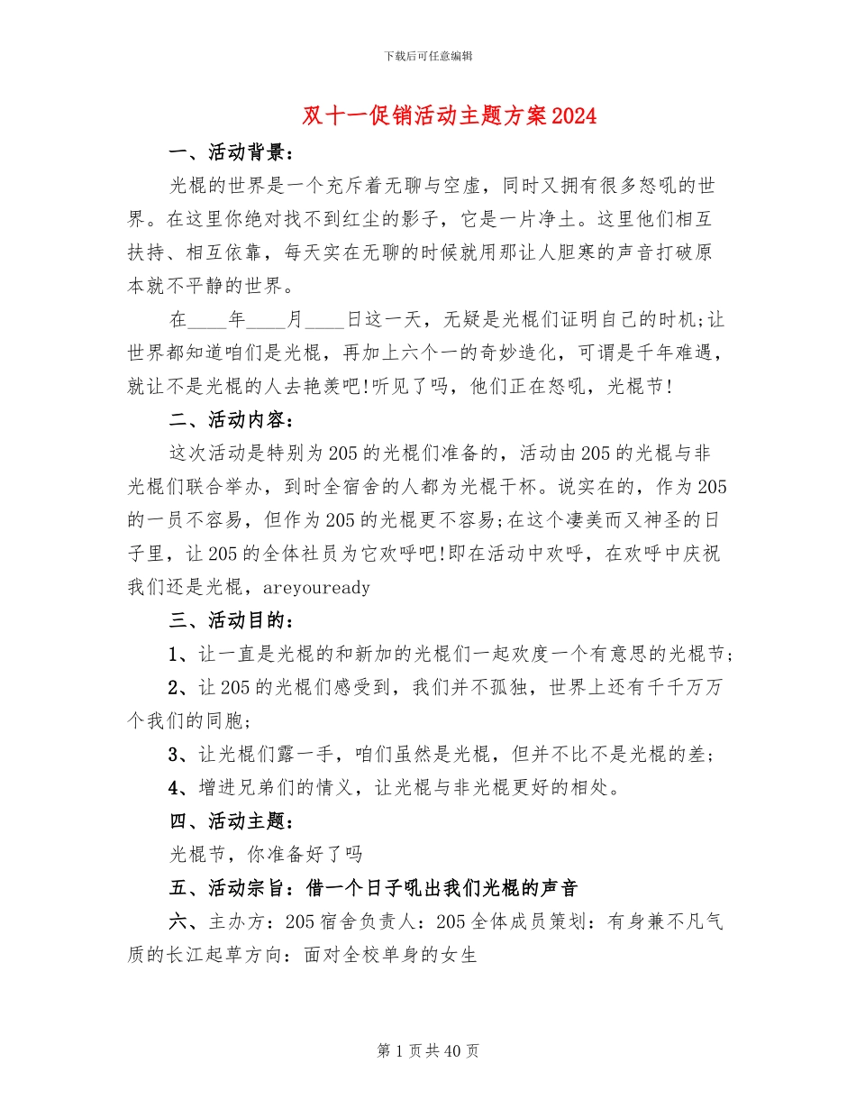 双十一促销活动主题方案2024_第1页