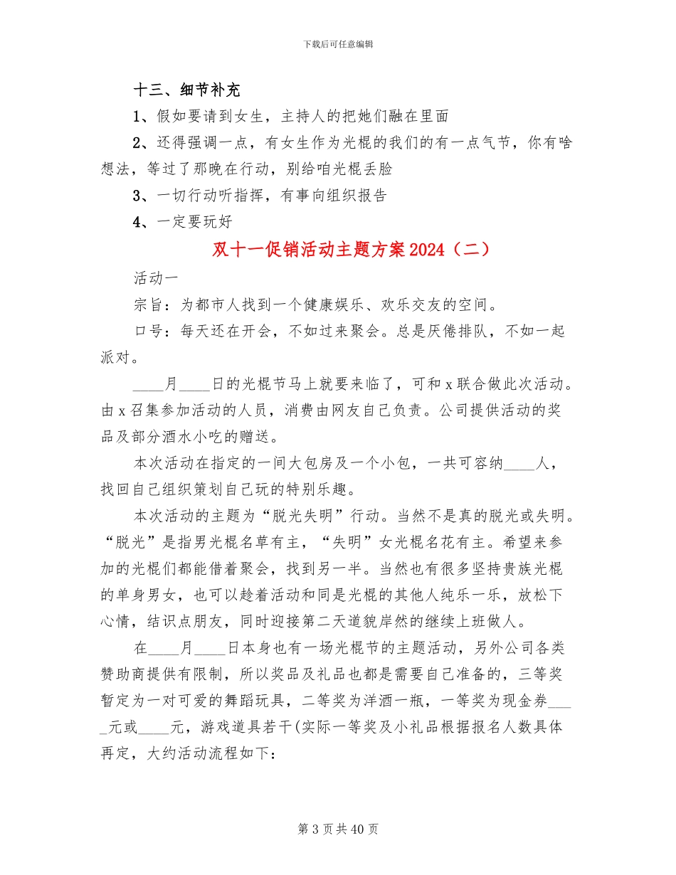 双十一促销活动主题方案2024_第3页