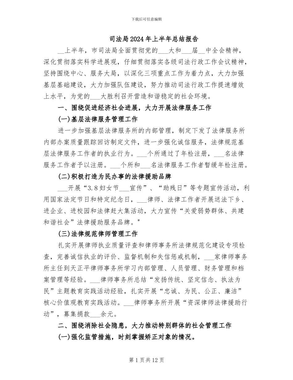 司法局2024年上半年总结报告_第1页
