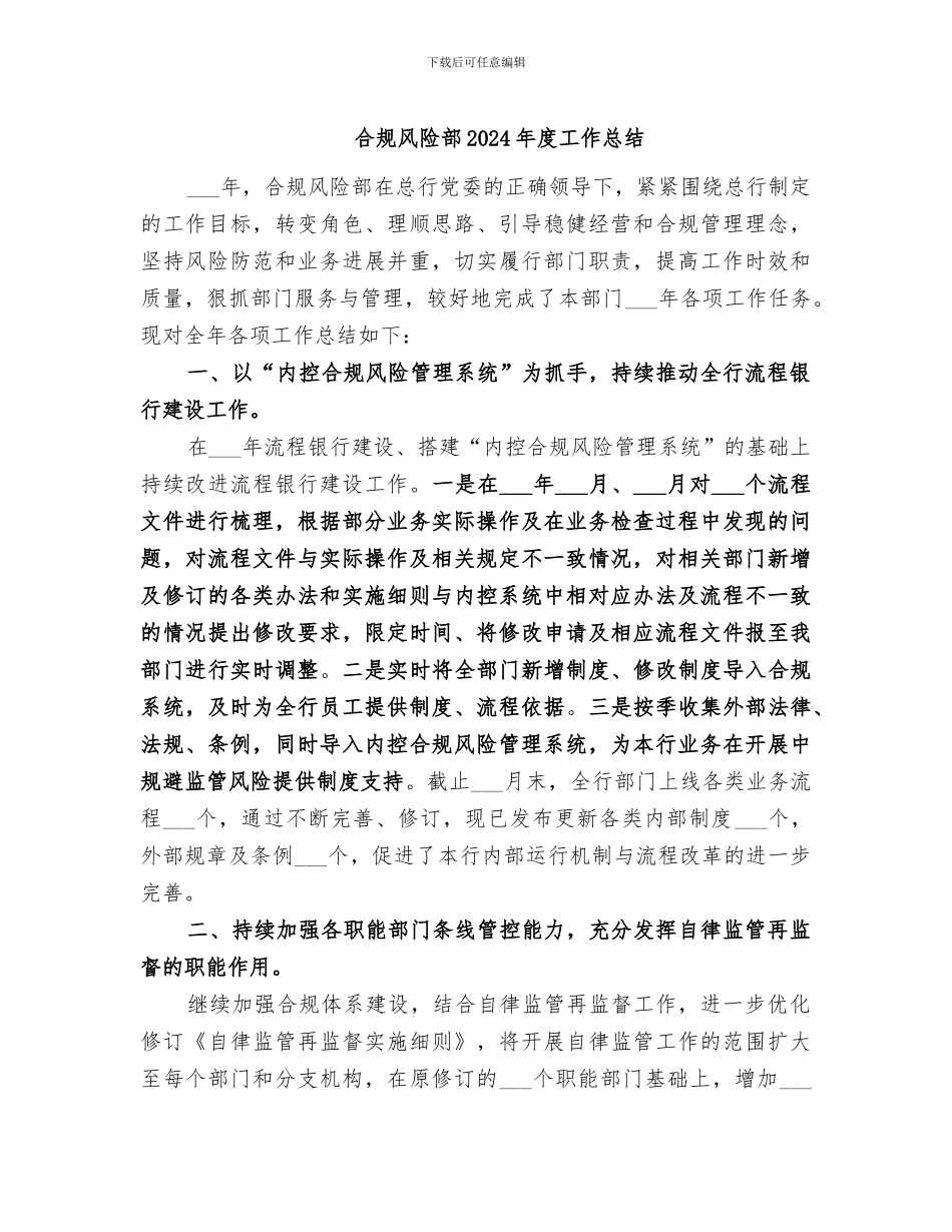 合规风险部2024年度工作总结_第1页