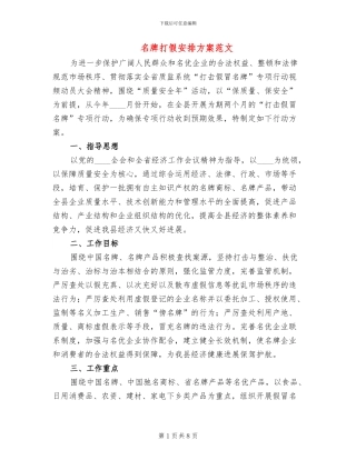 名牌打假安排方案范文