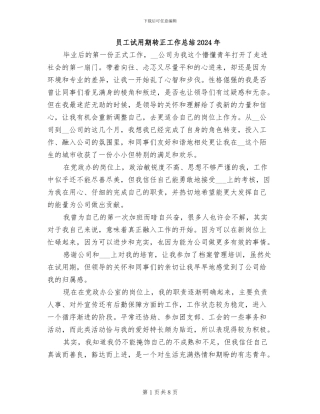 员工试用期转正工作总结2024年