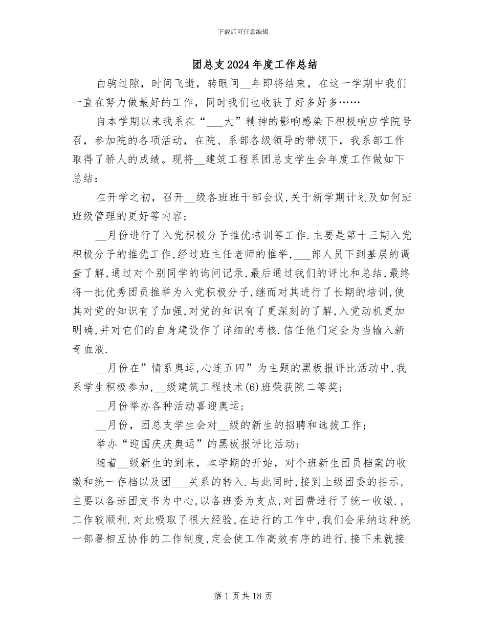 团总支2024年度工作总结_第1页