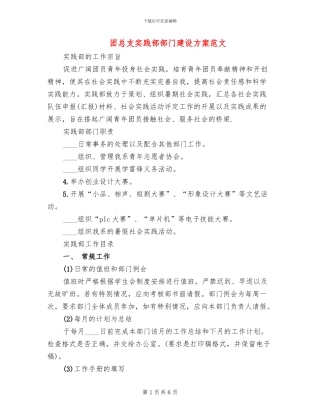 团总支实践部部门建设方案范文
