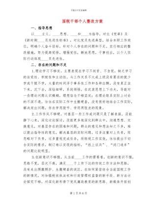 国税干部个人整改方案