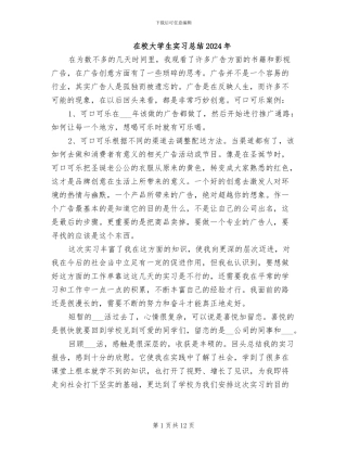 在校大学生实习总结2024年