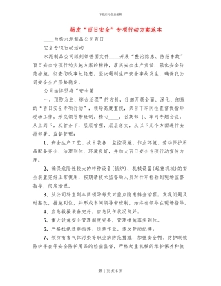 场发“百日安全”专项行动方案范本
