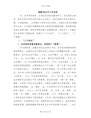 城镇2024年工作总结