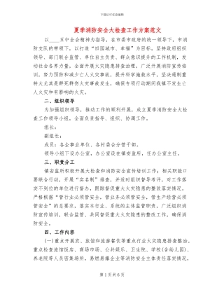 夏季消防安全大检查工作方案范文