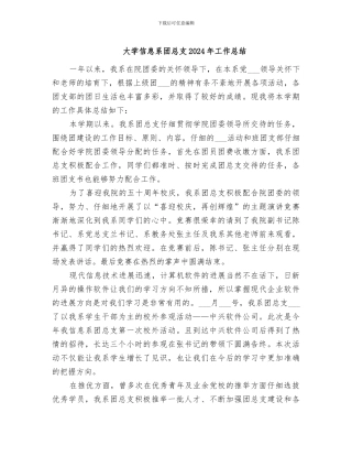大学信息系团总支2024年工作总结