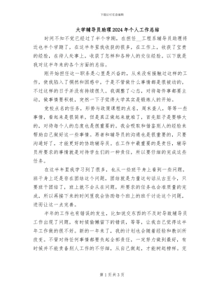 大学辅导员助理2024年个人工作总结