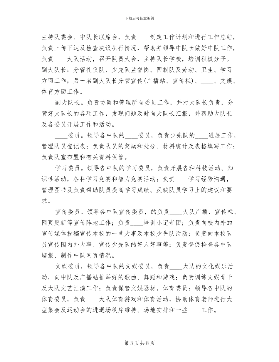 大队委换届改选方案_第3页