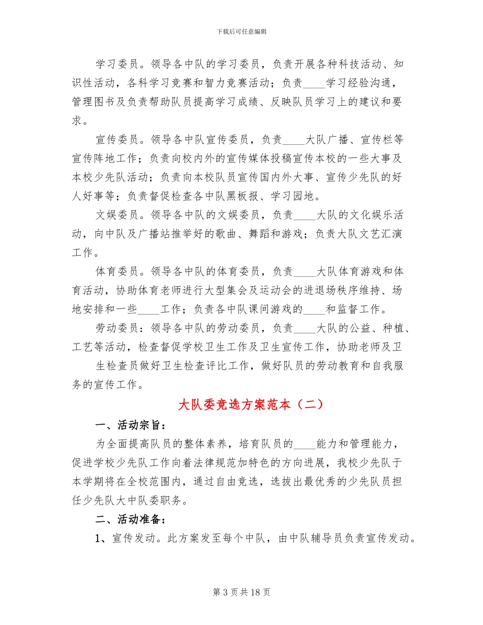 大队委竞选方案范本_第3页